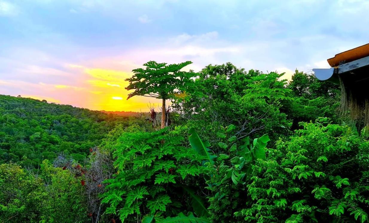 Villas Do Pratagy BromeliaMaceió エクステリア 写真